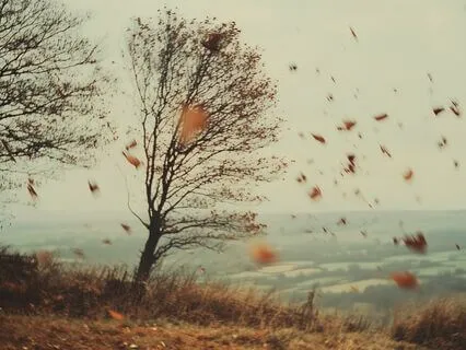 Blast Away Anxiety: Blustery Brown Noise Resonance