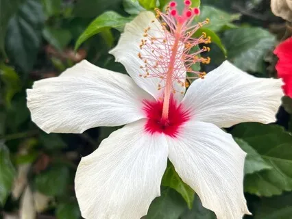 Bless The Day - Morning Positive Affirmation Track