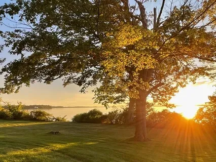 Bless The Earth: Bhumi Mangalam Mantra