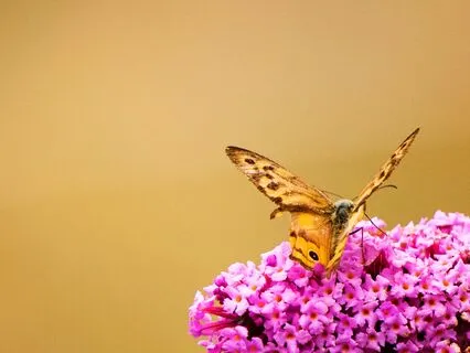 Bless You, Mother God (a Christian Meditative Prayer)