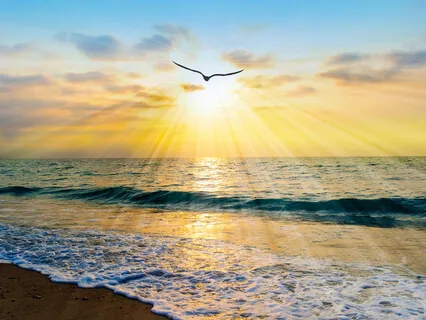 Blessed & Full Of Light