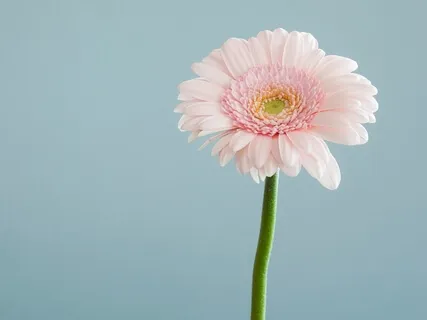 Affirmations For Gratitude & Bliss 