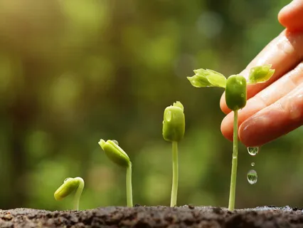 Blessing Before Consuming