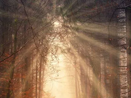 Blessing For Abundance And Light