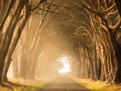 Blessing In A Crisis