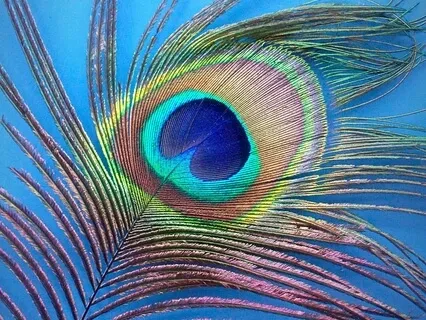 Blessing Of The Energy Centers | Chakra Activation & Healing