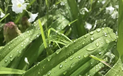 Blessing Practice 7-Min (The Mindful Christian)