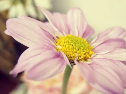 Blessings For A New Year