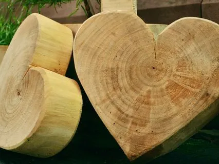 Blessings From Dragons Your Heart Chakra