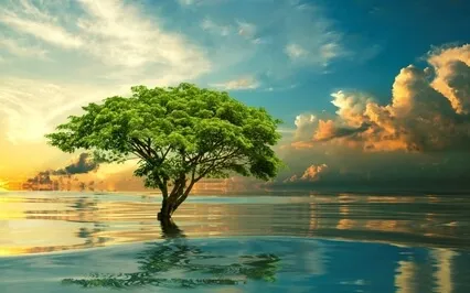 Blessings From The Tree Of Life In  8D Soundscape