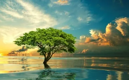 Blessings From The Tree Of Life