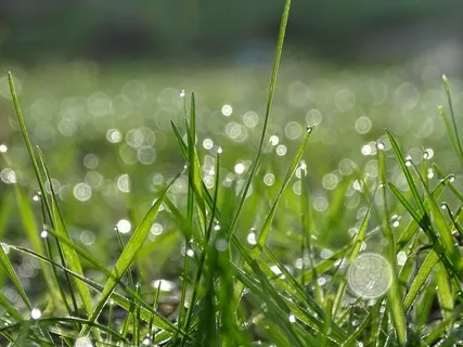 Blessings Of Nature