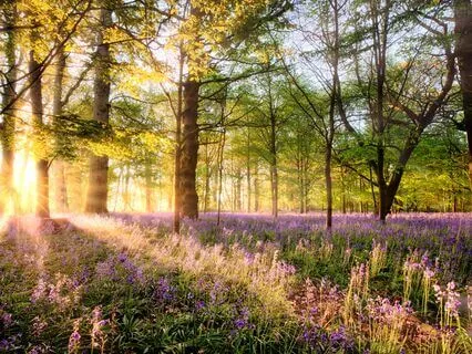 Bliss (3-Hour Version)