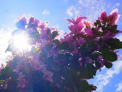 Bliss-Binaural Om Mantra 108 Times W/Handpan & Crystal Bowls