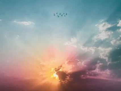 Bliss Comes Back Around: Ambient Guitar