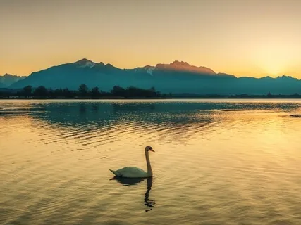 Bliss - Discovering the Unending Bliss Of Turiya