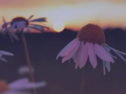 Bliss Looper & Hannah Lou Woods - Let's Love Louder (Sacred Change)