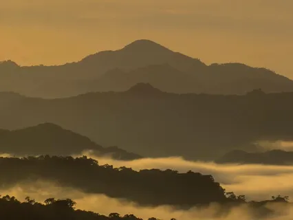 Bliss Looper - Hidden Valley