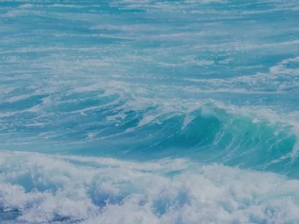 Bliss Looper - Inspo