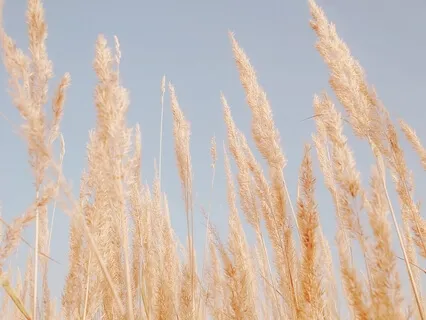 Bliss Meditation + Breathwork For Peace And Healing Energy