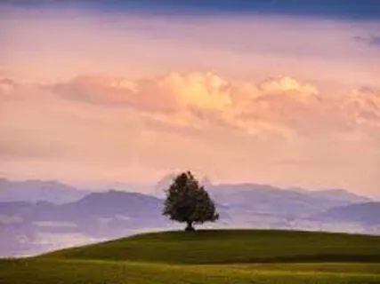 मौन का परमसुख 