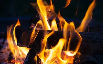 Bliss Talk: Following The Silence