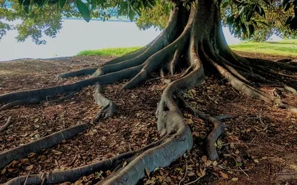 Blissful & Comforting ~ Deep Relaxation ~ Guided Meditation 