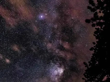 Blissful Body Scan To Sleep Quickly