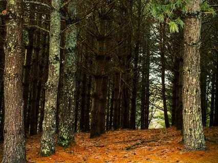 Blissful Breakthrough - Breaks In Perception