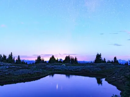 Blissful Breathing For HRV, Stress & Clarity | Level 1