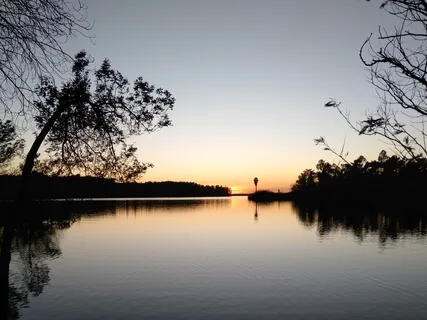 Blissful Contentment