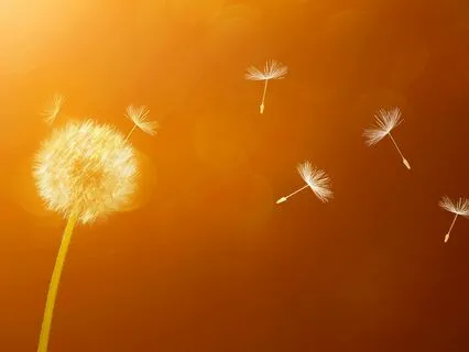 Blissful Deep Sleep Meditation "The Cleansing Wind"