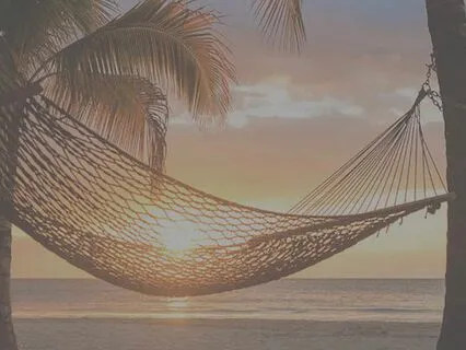 Blissful Deep Sleep On The Beach