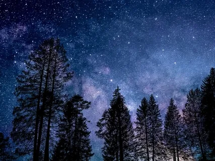 Blissful Deep Sleep Relaxation 