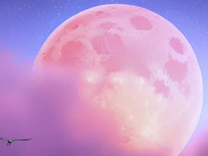 Blissful Dreams: 8-Hour Sleep Meditation