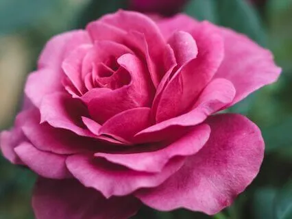 Blissful Escape With 174 Hz