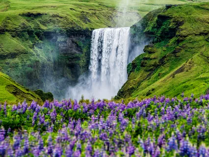 Blissful Feelings On Tap