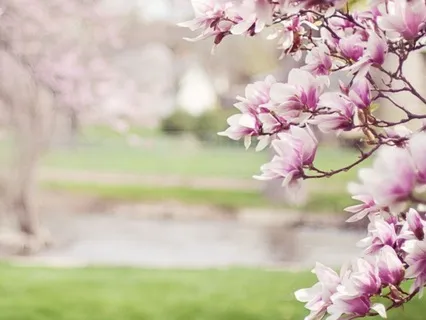 Blissful Horizon Meditation For Relief