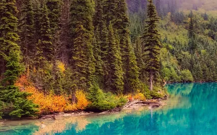 Blissful Meditation @432Hz