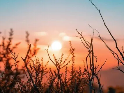 Tranquil & Blissful Sound Healing Music