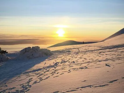 Blissful Morning In Nature