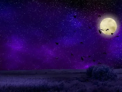 Blissful Reverie With 528 Hz