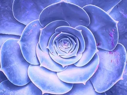 Blissful Sleep: 8-Hour Yoga Nidra Medley | With Music