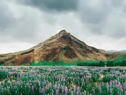 Blissful Stillness: Escape The Noise