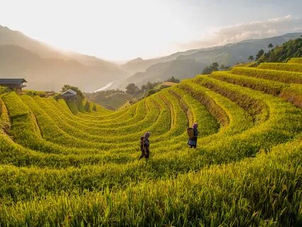 Blissful Theta Waves Flow- Meditation Music