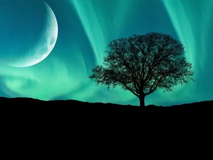 Blissfully Deep Relaxation To Let Go Of Stress 