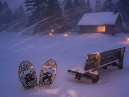 Blizzard Sounds For Cozy Winter Sleep