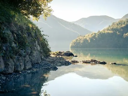 Block Out Distractions - Premium Sleep Sounds Collection