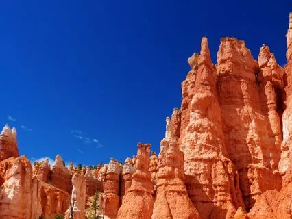 Blood Circulation Boost With 9Hz | Enhance Health & Vitality