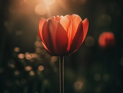 10 Minute Music For Relaxation and Self-Healing